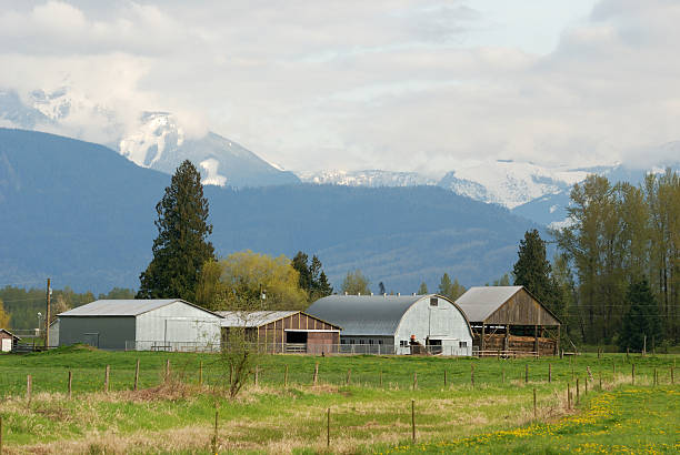 istock Barn houses in countryside 145996770