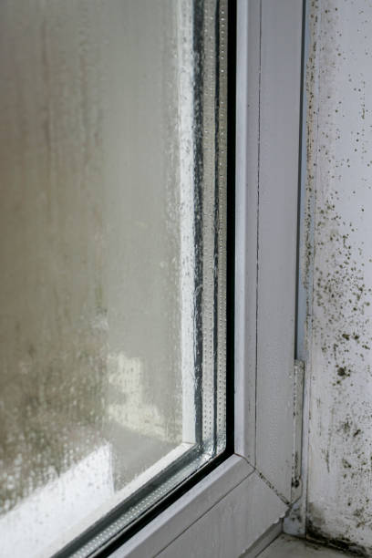 istock Condensation of plastic windows. 1459969612