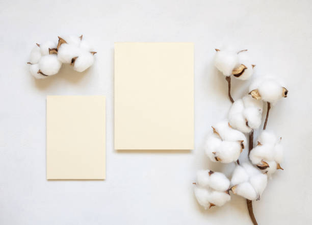 Blank cards with cotton flowers top view on white, wedding mockup