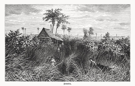 Historical view of a settlement in Sumatra. In the foreground residents in the cogongrass (Imperata cylindrica). Wood engraving, published in 1899.