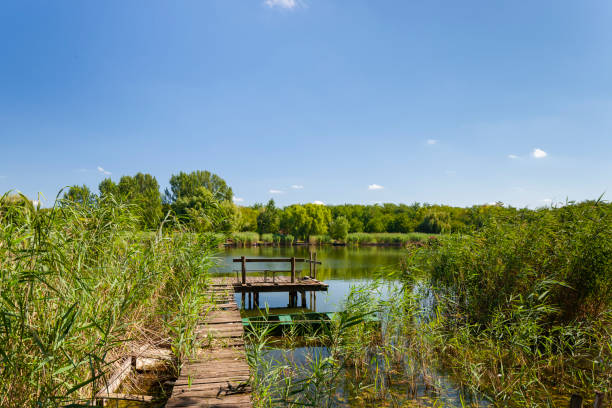 istock landscape of Tisza in Hungary 1459975314