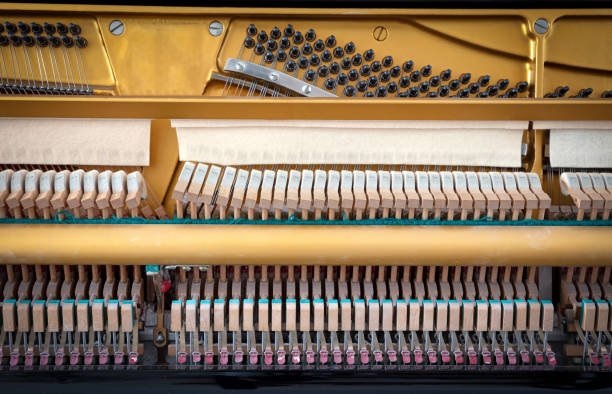 Details of piano mechanism gavel - string, pins and hammers