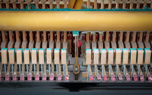 Details of piano mechanism gavel - string, pins and hammers