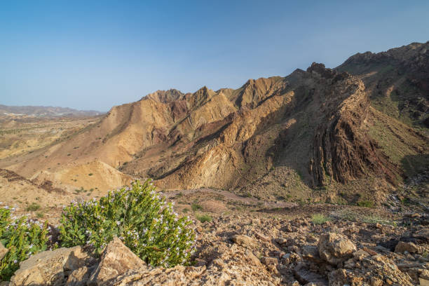 Valey in Hajar Hatta mountains in Dubai, UAE