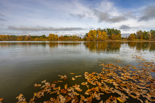 Peak autumn colors near Concord, New Hampshire in Merrimack County