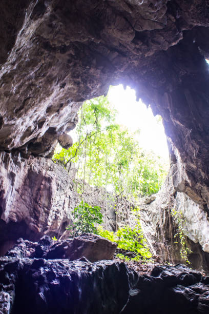 istock Luang Pha Wiang cave, Lamphun Thailand 1459982810