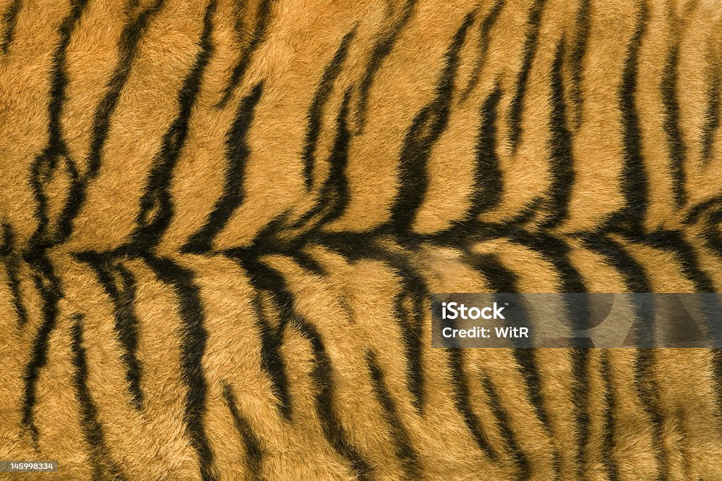 Skin's texture of tiger Close-up surface fur of tiger (Panthera tigris) Abstract Stock Photo