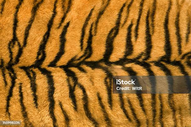 Skins Texture Of Tiger Stock Photo - Download Image Now - Abstract, Animal, Animal Body Part