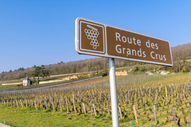 strada del vino (route des grands crus) vicino a beaune, borgogna, francia - france scenics europe alsace foto e immagini stock