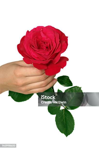 I Love You Stock Photo - Download Image Now - Flower, Women, Adult