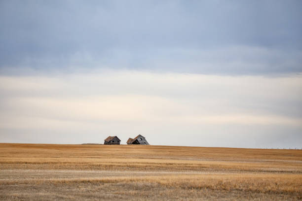 Farm field with Buildings