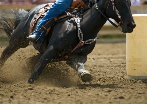 Barrel racing requires a fast and flexible horse and a athletic rider