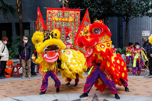 Hong Kong - January 27, 2023 : A lion dance team performs at Sheung Wan to celebrate the Chinese New Year in Hong Kong.