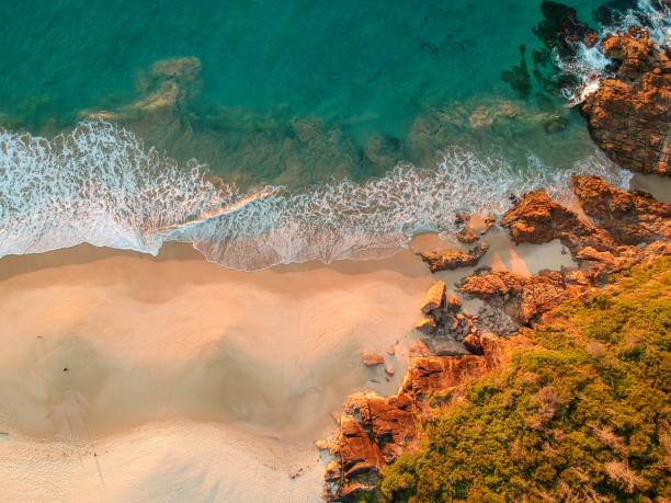 istock Box Beach view from above with light morning colours in Port Stephens, Australia 1459990799