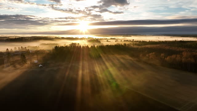 Scenic drone video of very foggy sunrise over forest, landscape in North Sweden, golden sun light beams and shadows. Beautiful nature, Vasterbotten, northern Sweden, Umea. Forward fly, lens flare