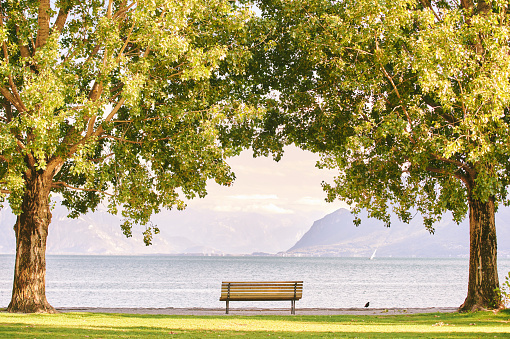 Beautiful summer park next to lake Geneva, Switzerland, image taken in Cully