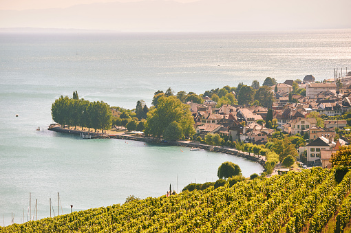 Aerial view of Lavaux vineyards and Cully town, canton of Vaud, Switzerland