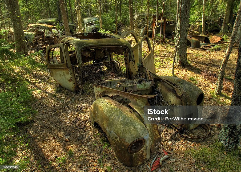 Rusty automóveis em uma floresta - Foto de stock de Carro royalty-free