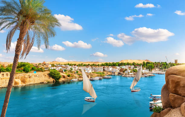 Aerial view on Aswan villages by the Nile behind the palm, Egypt Aerial view on Aswan villages by the Nile behind the palm, Egypt. ancient villages stock pictures, royalty-free photos & images
