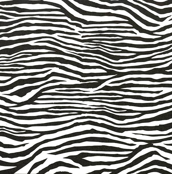 Zebra Style Pattern Stock Photo - Download Image Now - Zebra Print