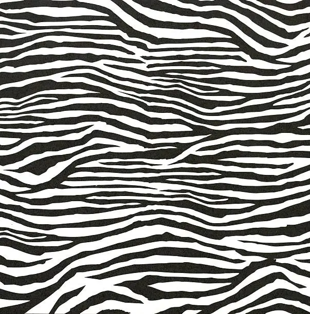 Zebra Pattern Ab Zebra Pattern Pictures | Download Free Images on Unsplash