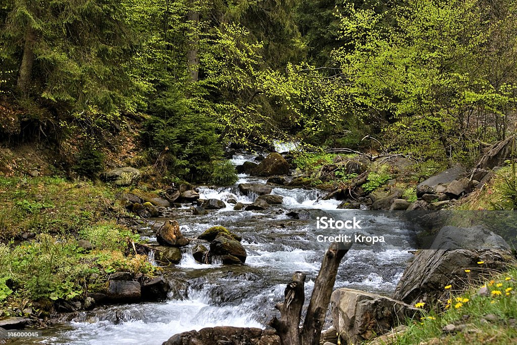 Rio de montanha na floresta de montanhas com uma cachoeira - Foto de stock de Budismo royalty-free