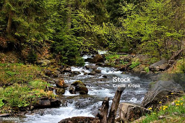 Foto de Rio De Montanha Na Floresta De Montanhas Com Uma Cachoeira e mais fotos de stock de Budismo