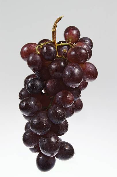 the bunch of grapes stock photo