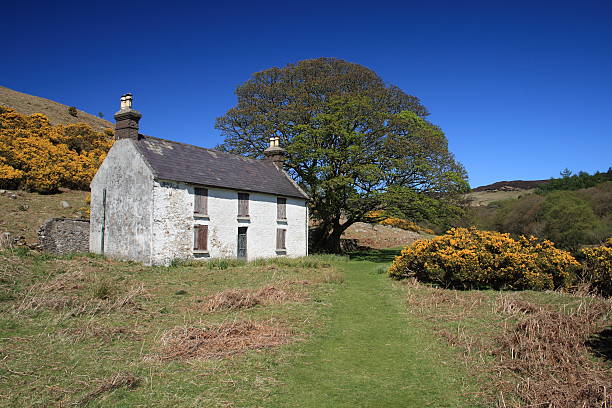 istock Abandoned Farm House Ireland 146000165