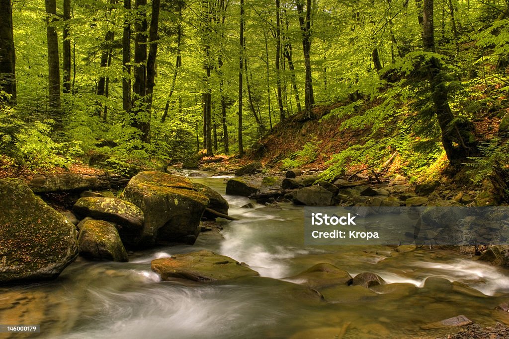 Río de montaña - Foto de stock de Dentro libre de derechos