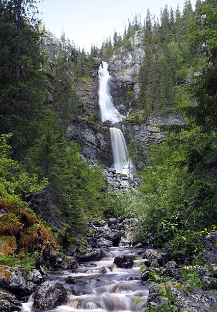istock Long exposure shot of a waterfall 146000209