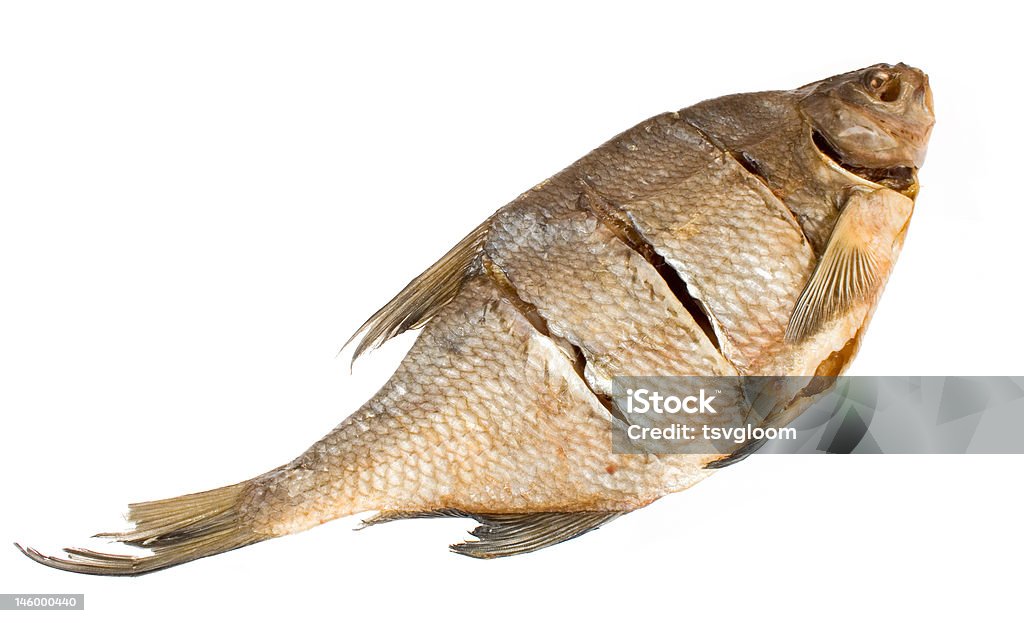 stockfish 1 isolated stockfish bream on white background Close-up Stock Photo