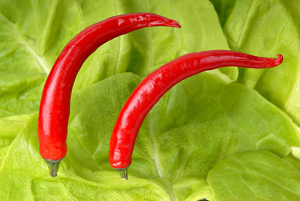 Two peppers and lettuce background stock photo