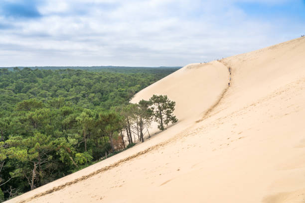 istock Dune du pilat, Bordeaux France 1460007138