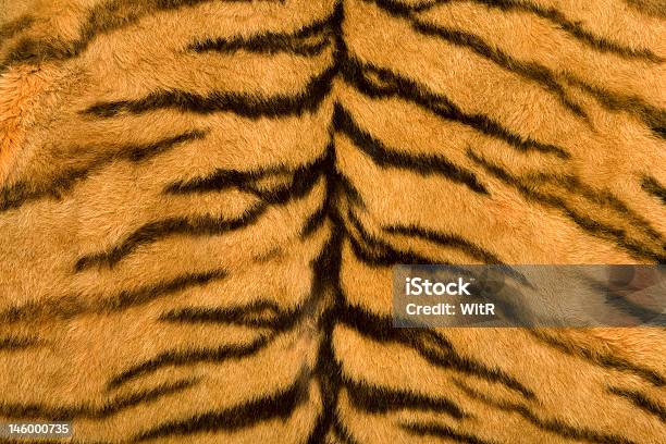 Photo libre de droit de La Texture De La Peau De Tigre banque d'images et plus d'images libres de droit de Tigre - Tigre, Épine - Poils d'un animal, Abstrait