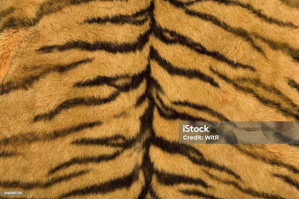 texture della Pelle di tigre - Foto stock royalty-free di Aculeo