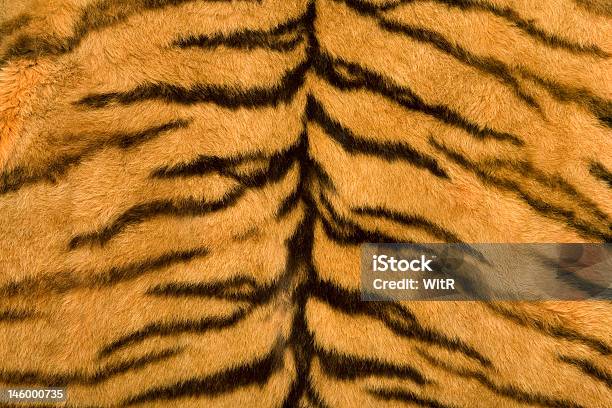 Texture Della Pelle Di Tigre - Fotografie stock e altre immagini di Aculeo - Aculeo, Tigre, Abbigliamento mimetico