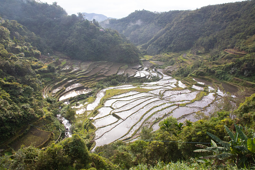 Banaue rice terraces, Philippines