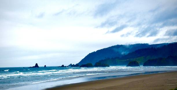 istock Early Morning Walk on The Oregon Beach 1460008199