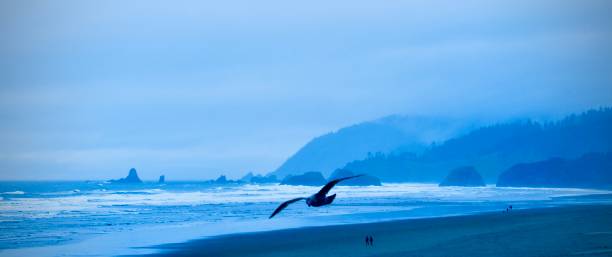 Early Morning on An Oregon Beach