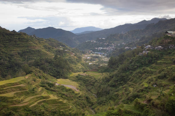 istock Banaue rice terraces, Philippines 1460008958