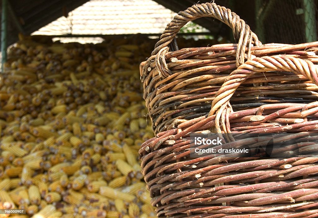 Ländliches Motiv - Lizenzfrei Agrarbetrieb Stock-Foto