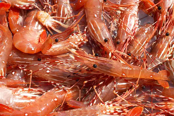 Photo of Close up photo of a pile of Fresh Prawns