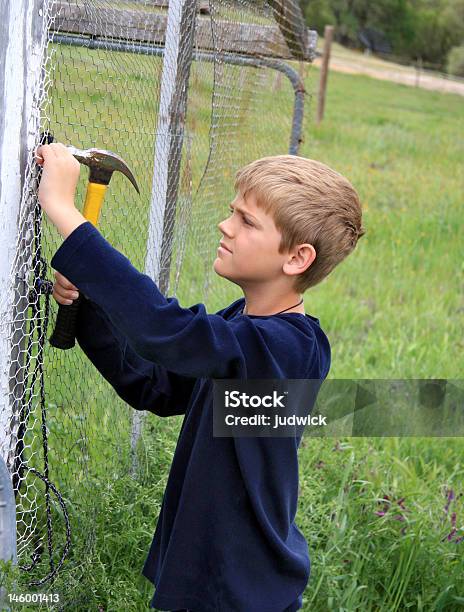 Building A Chicken Coop Stock Photo - Download Image Now - Boys, Outdoors, Activity