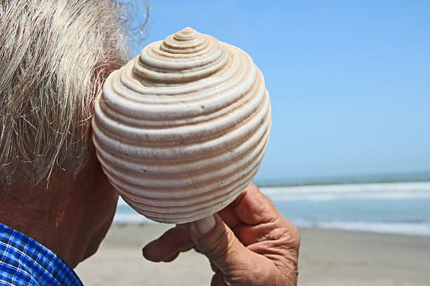 istock Senior enjoying sound of a shell 146001441