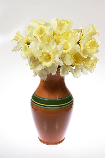 Daffodils in the vase stock photo