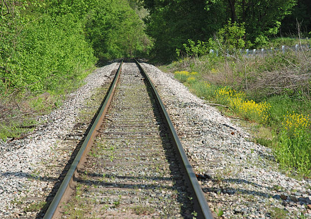 istock Railroad Tracks in Early Spring 146001723