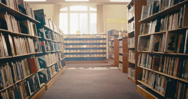 Library, books on bookshelf with story for reading, knowledge and information for education and learning. Wood bookcase, academic and fiction with research and study, book choice and library interior