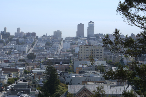 This is a view of San Francisco from the rooftop of a home in Pacific Heights.