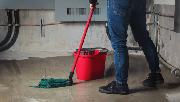 Woman mopping flood from water leaks in basement or electrical room. stock photo